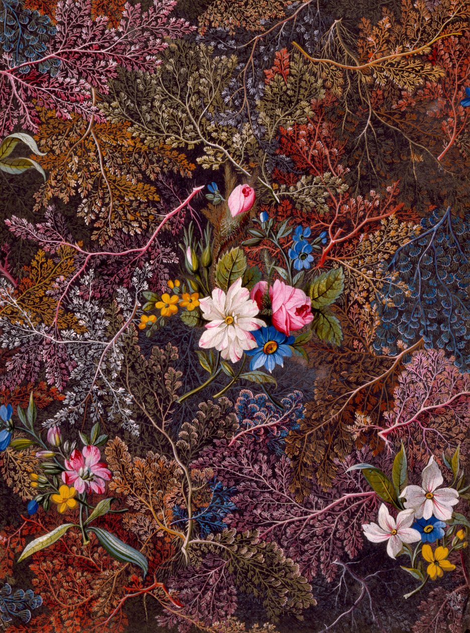Textile design, c.1788-92 by William Kilburn
