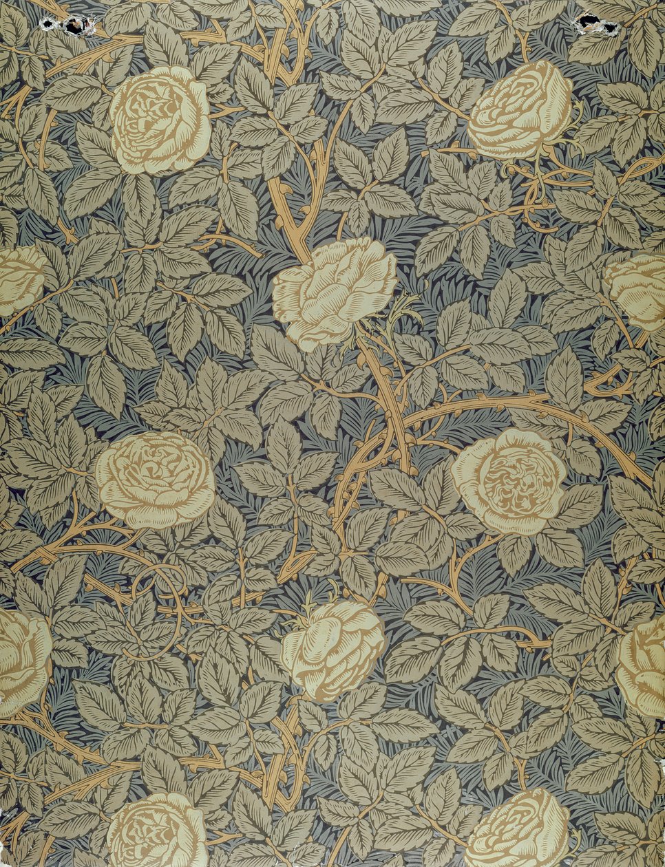 Rose design by William Morris