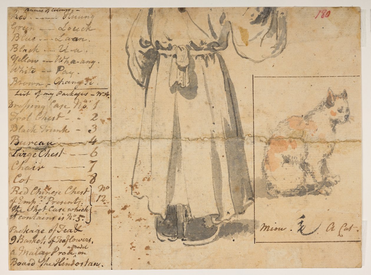 Cat, figure and list of Alexander