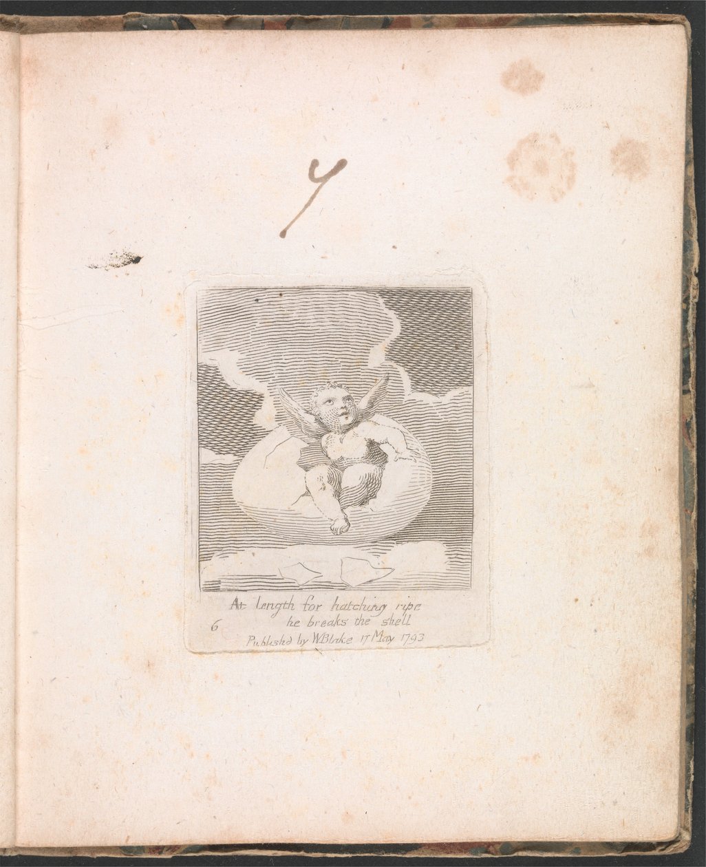 For Children. The Gates of Paradise, Plate 8, At length for hatching ripe he breaks the shell by William Blake