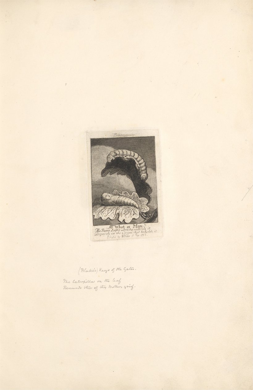 For the Sexes: The Gates of Paradise, Plate 1, Title Page by William Blake