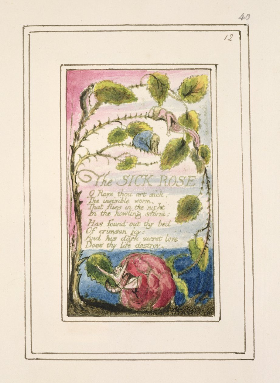The Sick Rose: plate 40 from 