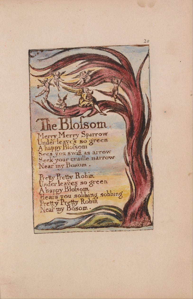 Songs of Innocence and of Experience, Plate 20, The Blossom (Bentley 11) by William Blake