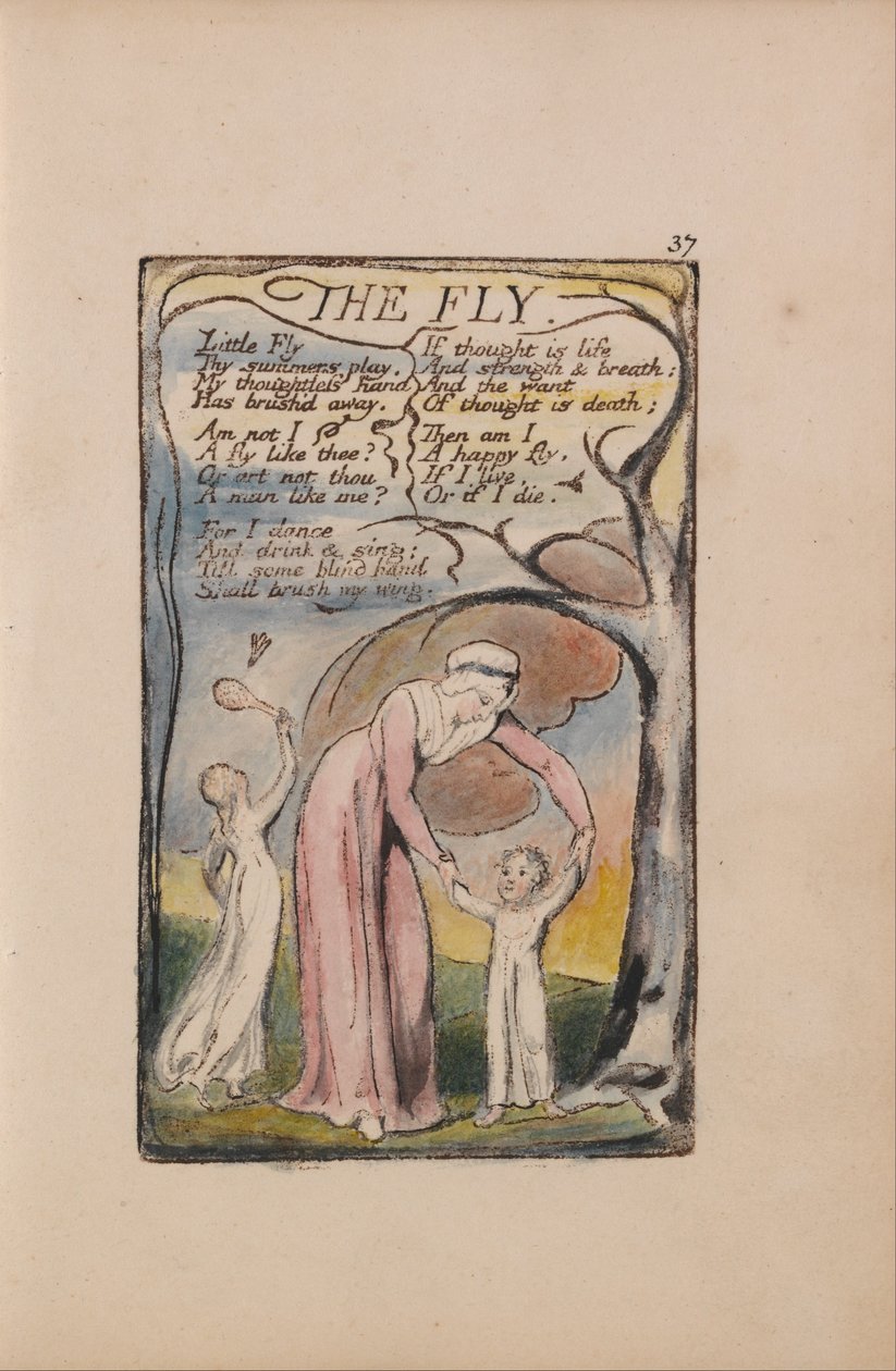 Songs of Innocence and of Experience, Plate 37, The Fly (Bentley 40) by William Blake