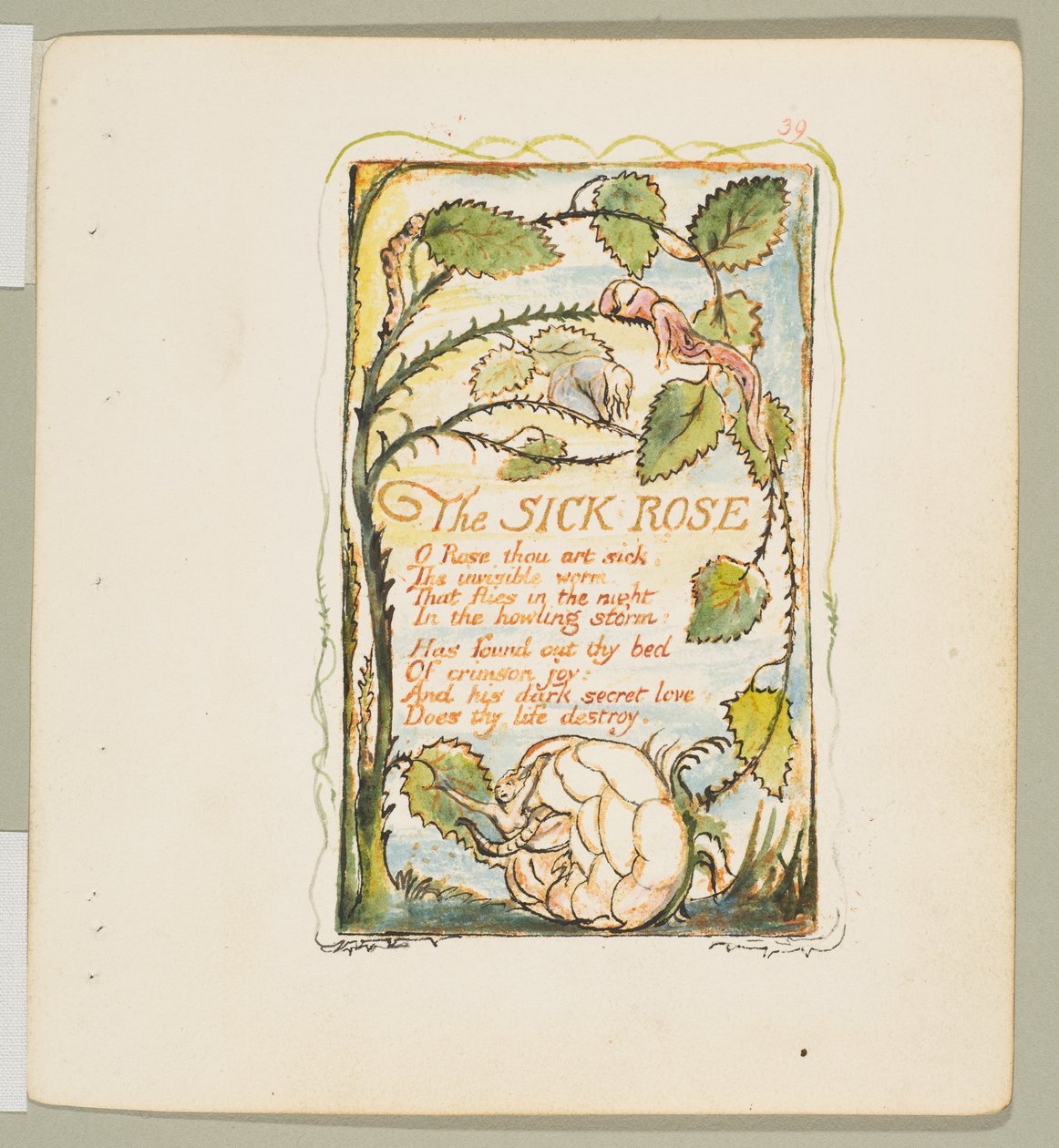 Songs of Innocence and of Experience: The Sick Rose by William Blake