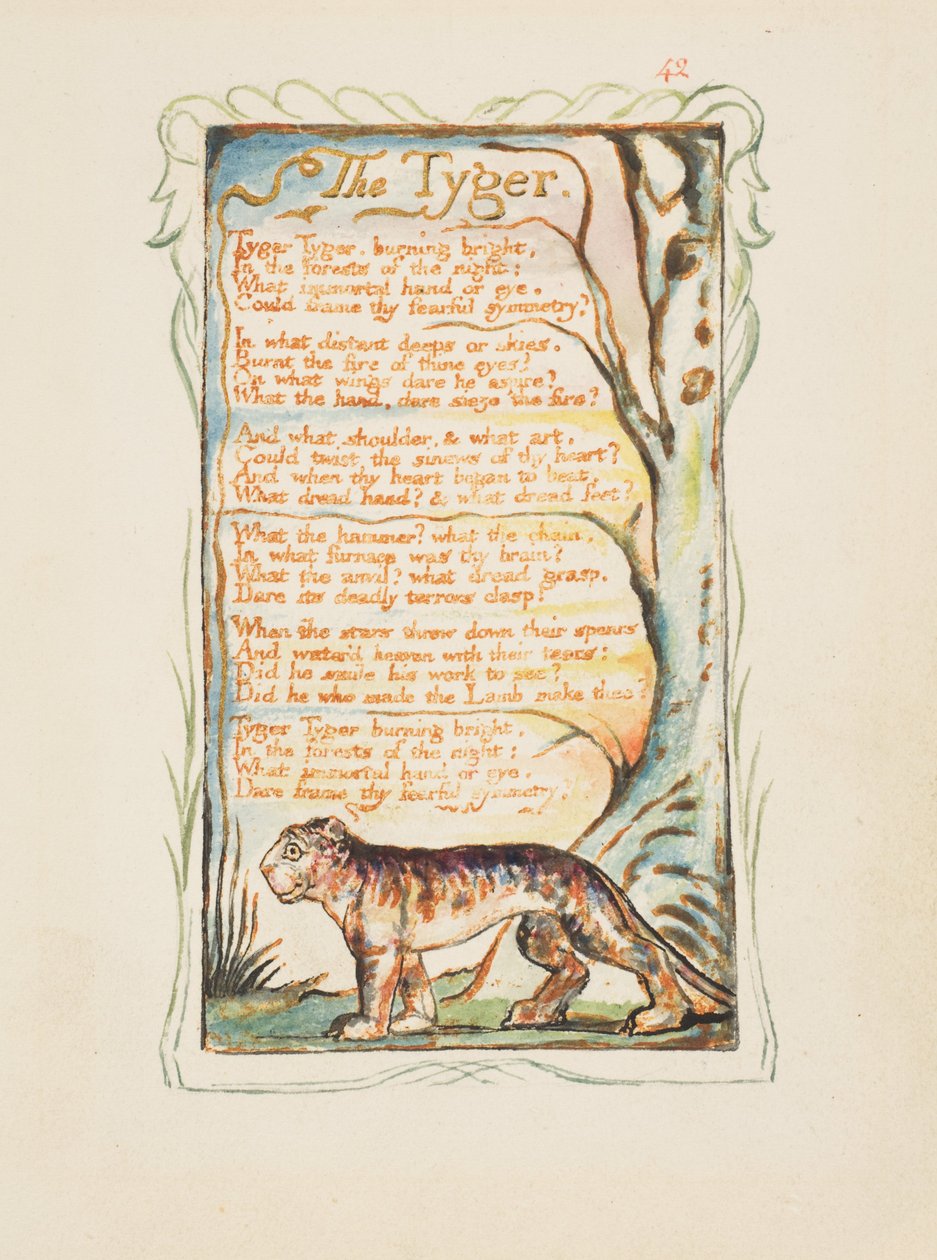 Songs of Innocence and of Experience: The Tyger by William Blake