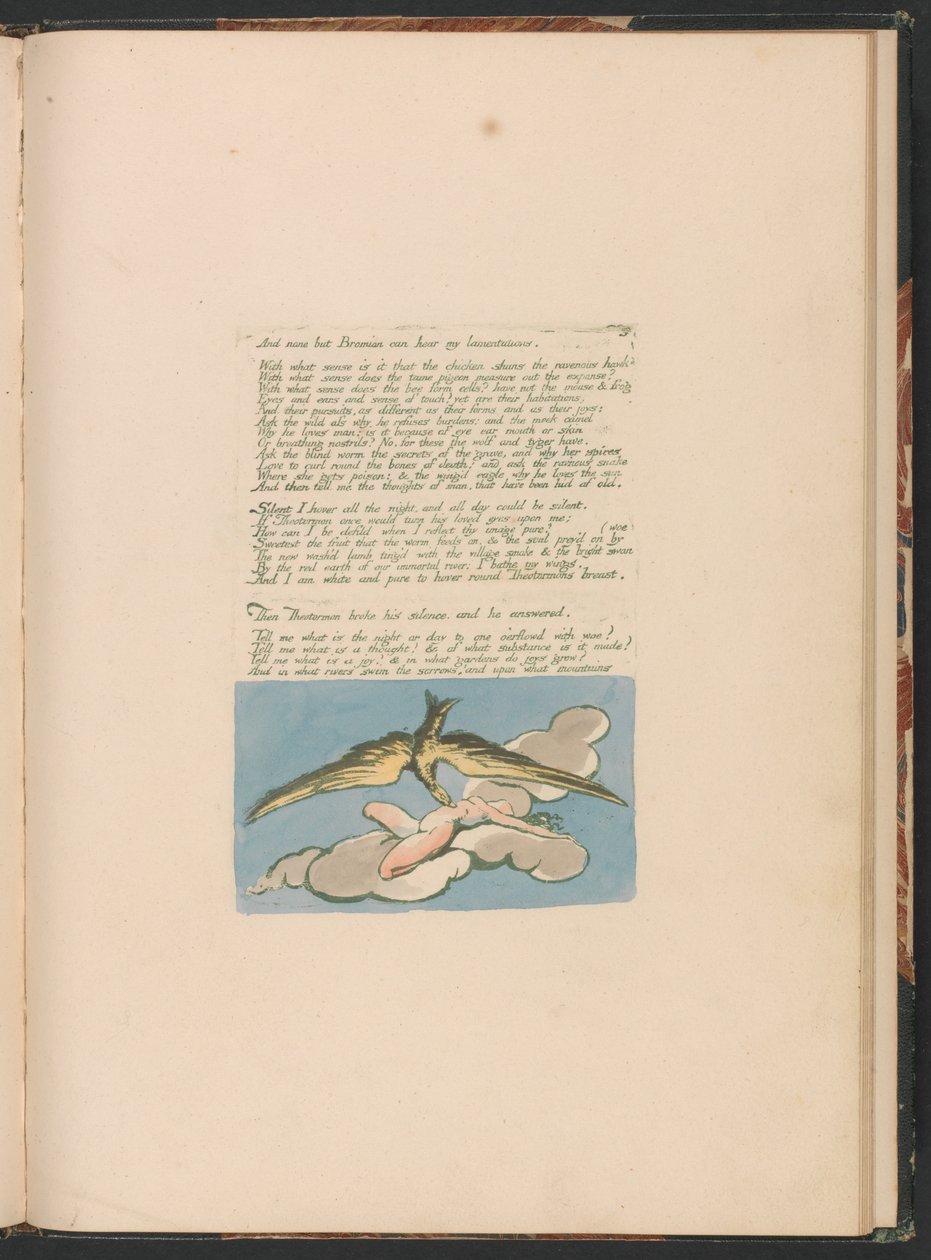 Visions of the Daughters of Albion, Plate 6, And None but Bromian by William Blake