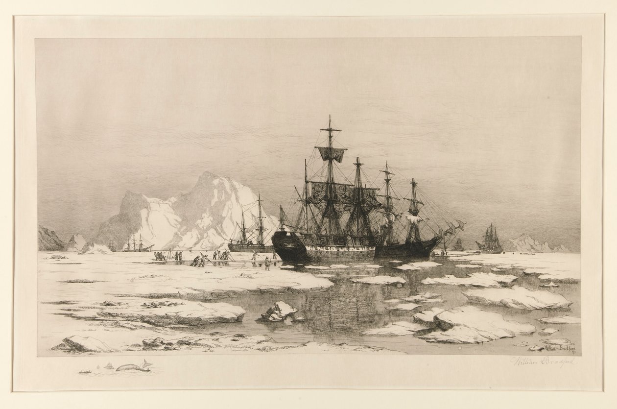 Sealers in the Arctic, after the painting: Among the Ice Floes, 1875 by William Bradford