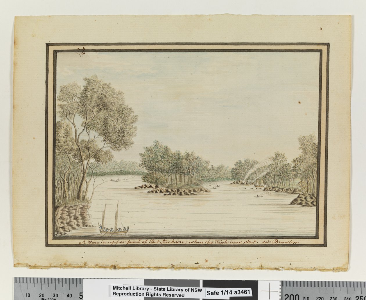 A View in upper part of Port Jackson; when the Fish was shot, c.1802 by William Bradley