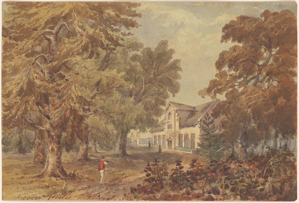 Cloetis by William Brenton Boggs
