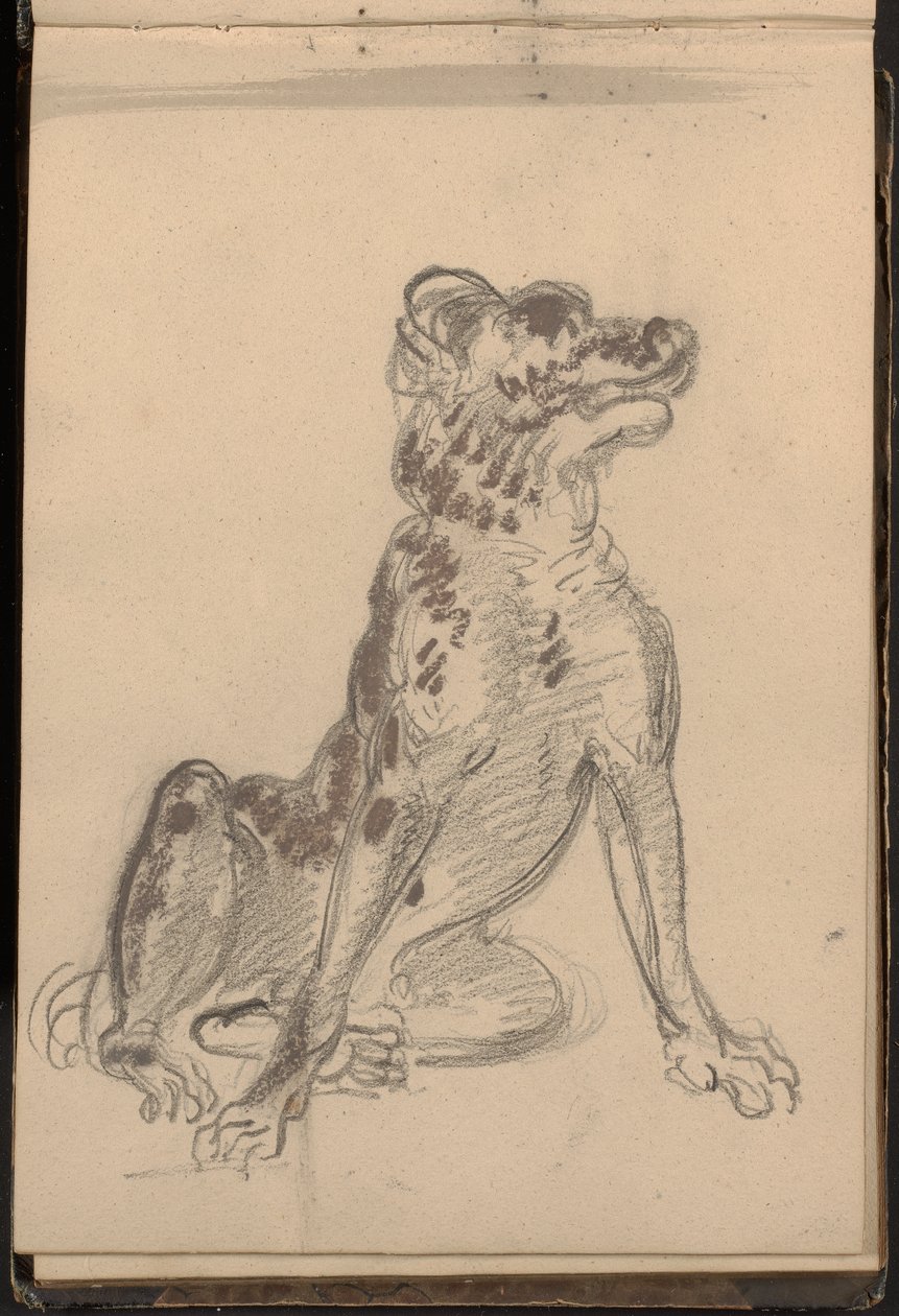 Portrait of a Dog by William Brockedon