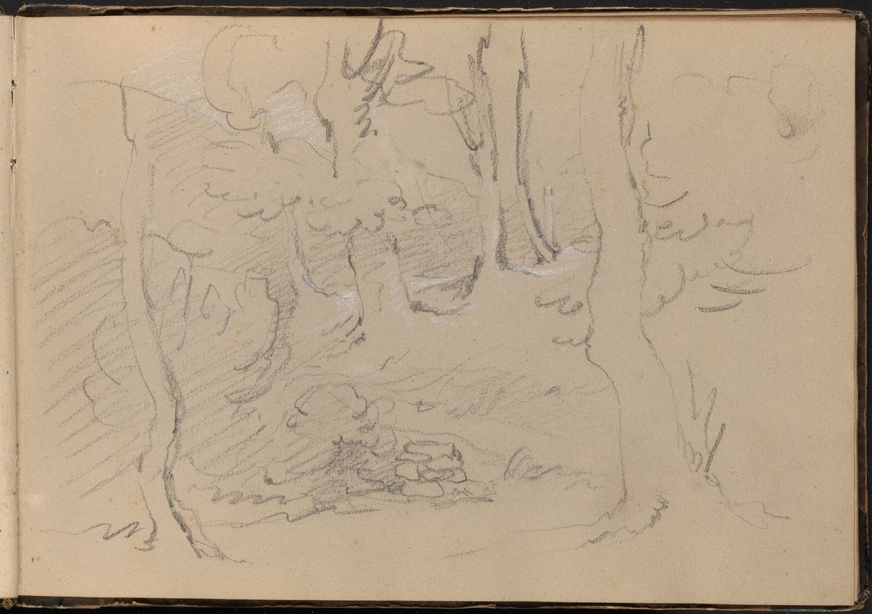 Sketch of a Group of Trees by William Brockedon