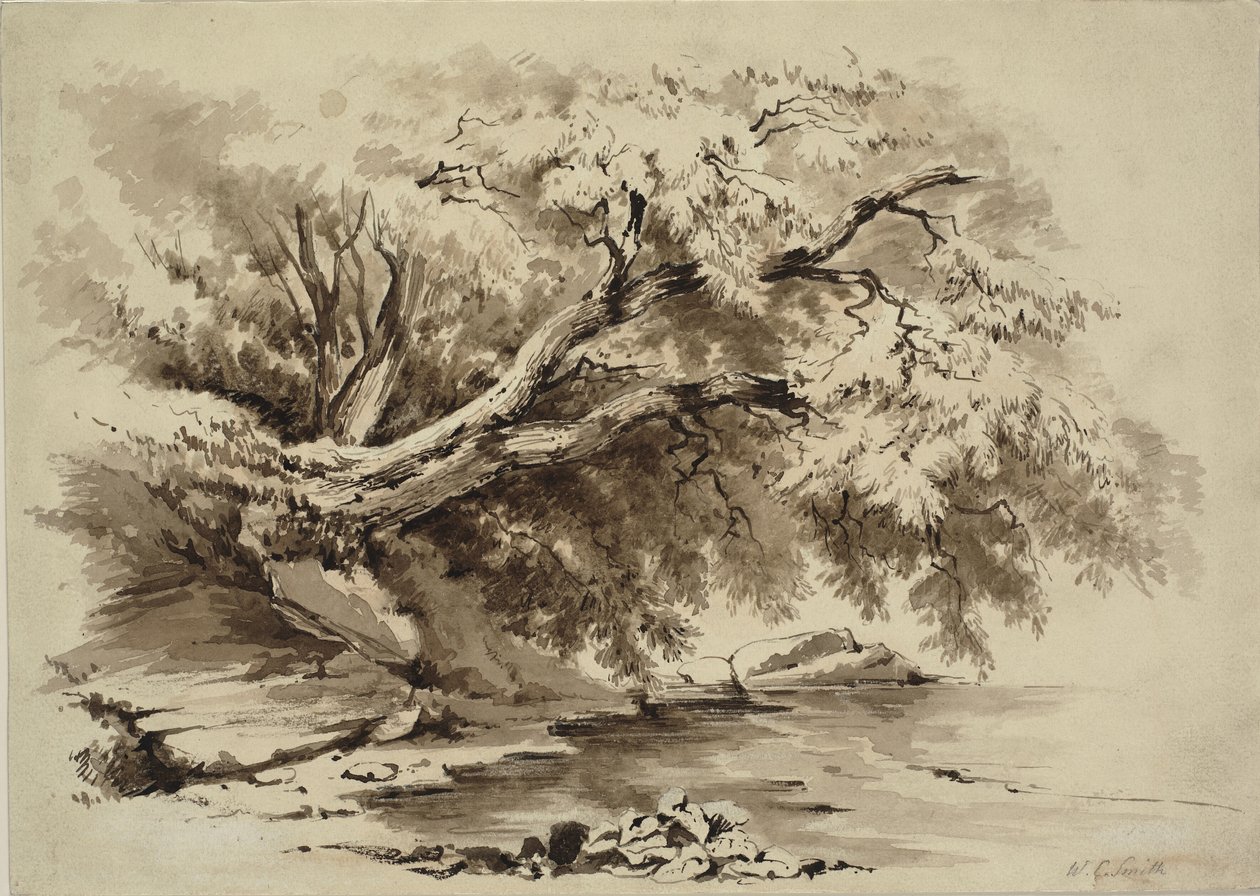 Landscape with Trees Overhanging a Lake by William Collingwood Smith