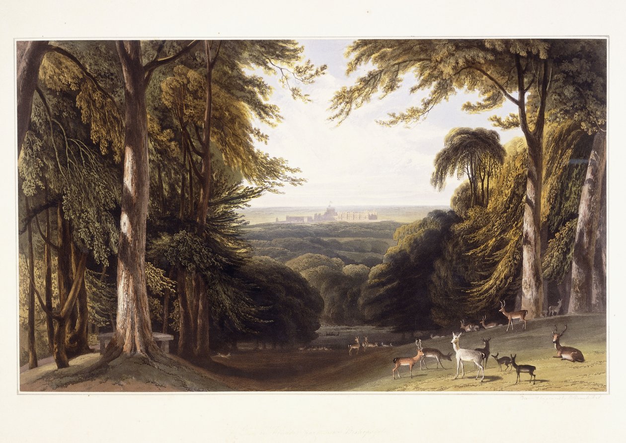 Windsor Castle from the Deer Park by William Daniell