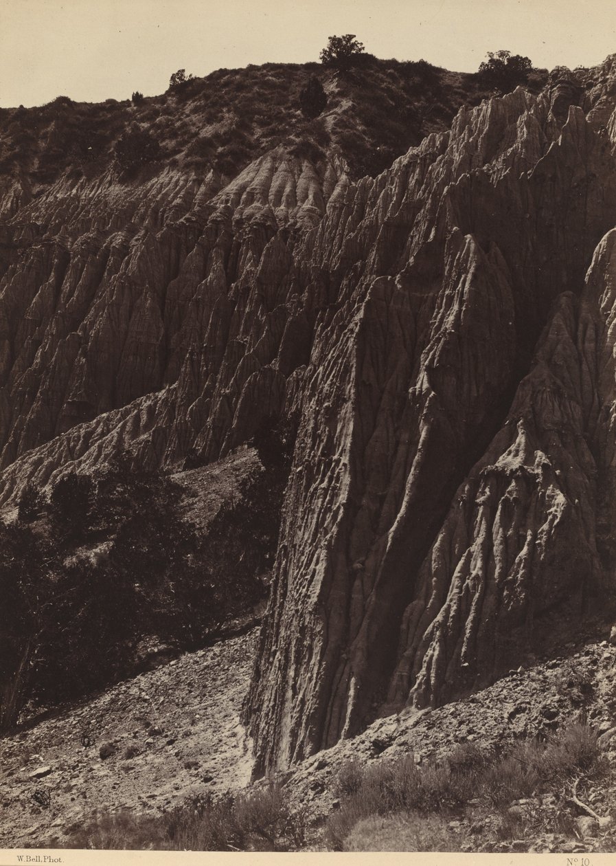 Rain Sculpture, Salt Creek Canyon, Utah by William H. Bell