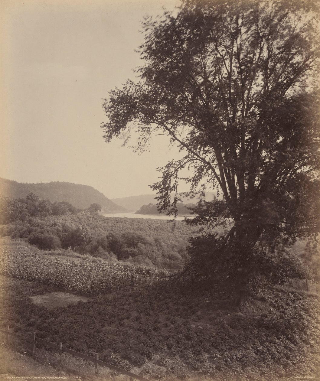 Picturesque Susquehanna, Near Laceyville by William H. Rau