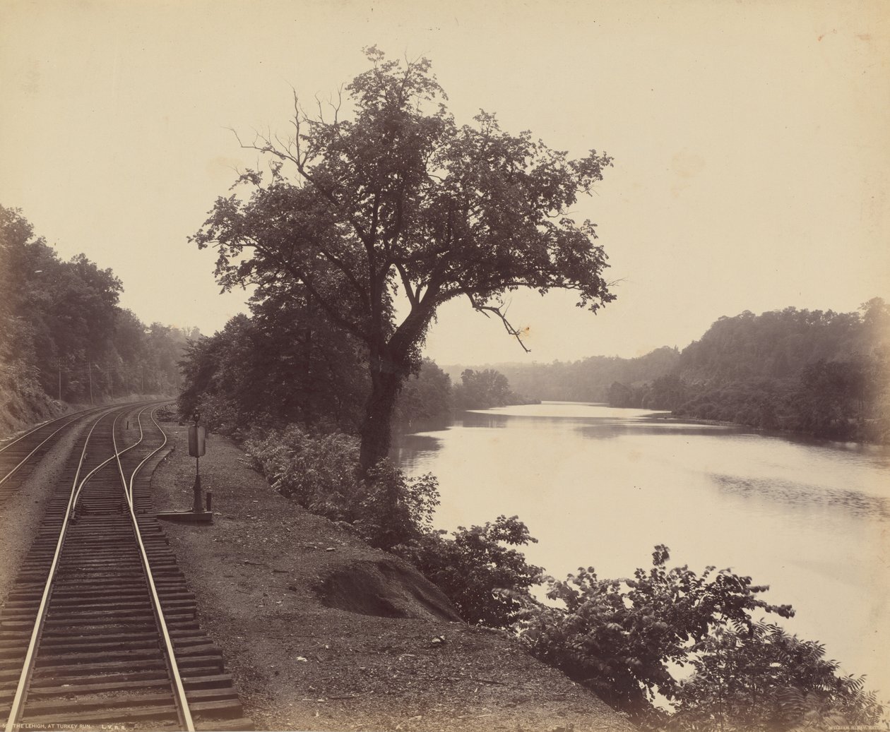 The Lehigh, At Turkey Run by William H. Rau
