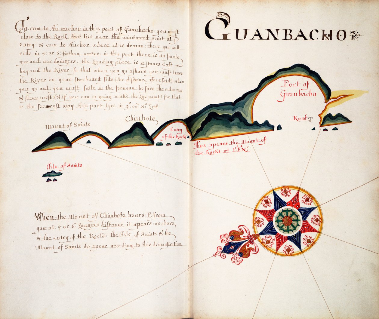 Guanbacho by William Hack