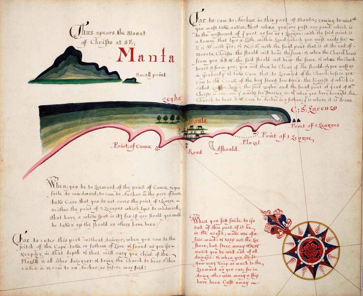 Manta by William Hack