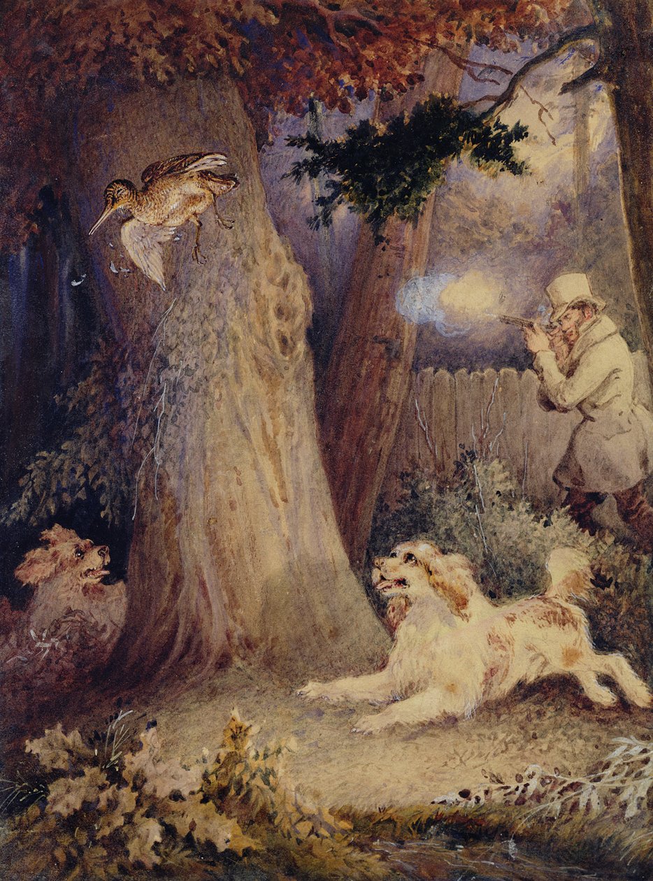 Woodcock Shooting by William Heath