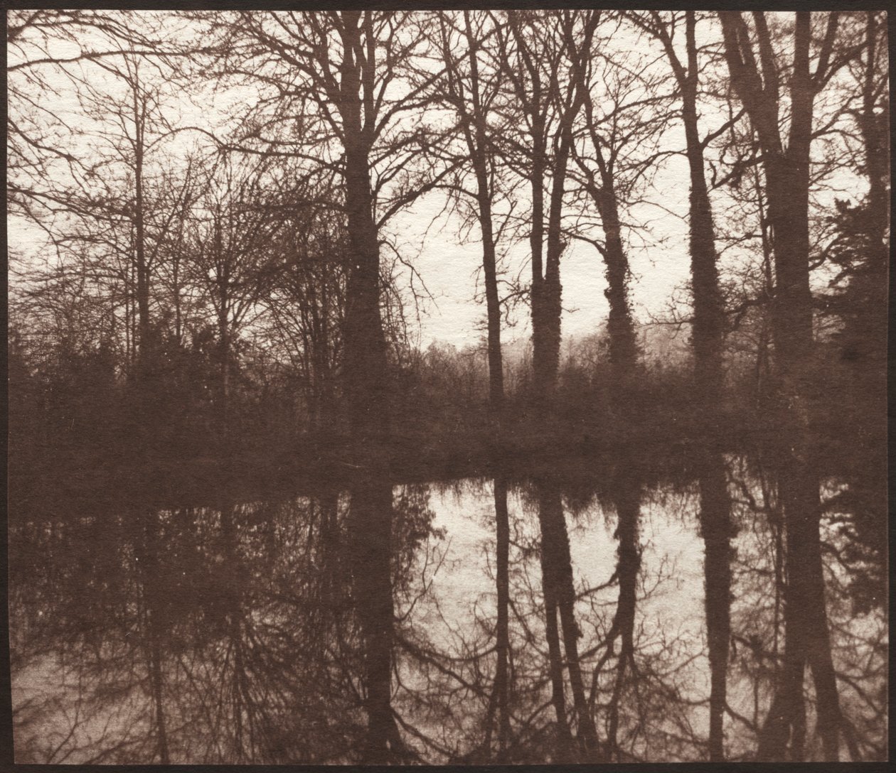 Winter Trees Reflected in a Pond by William Henry Fox Talbot