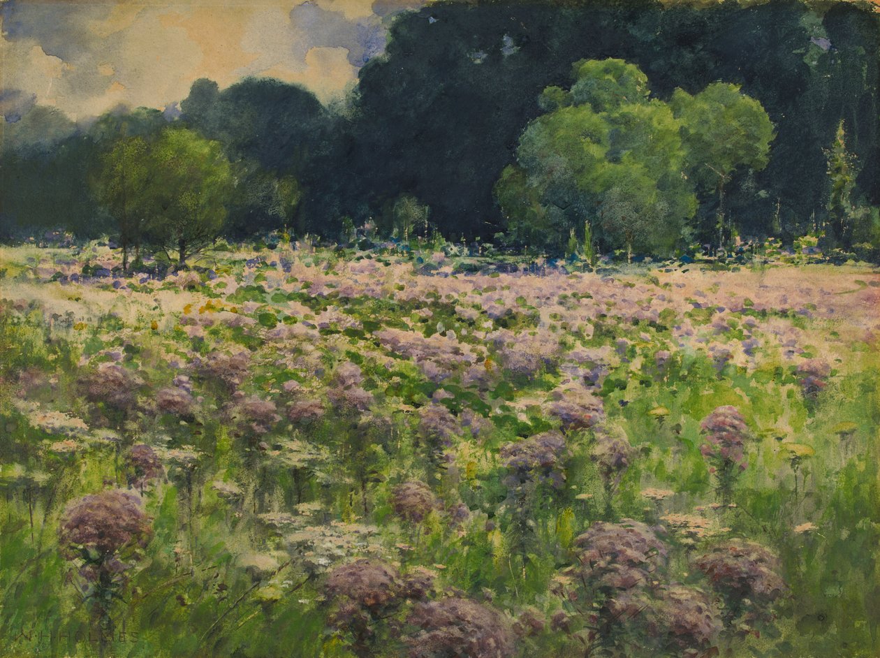 Field of Joe Pie Weeds Pride of the Meadow by William Henry Holmes