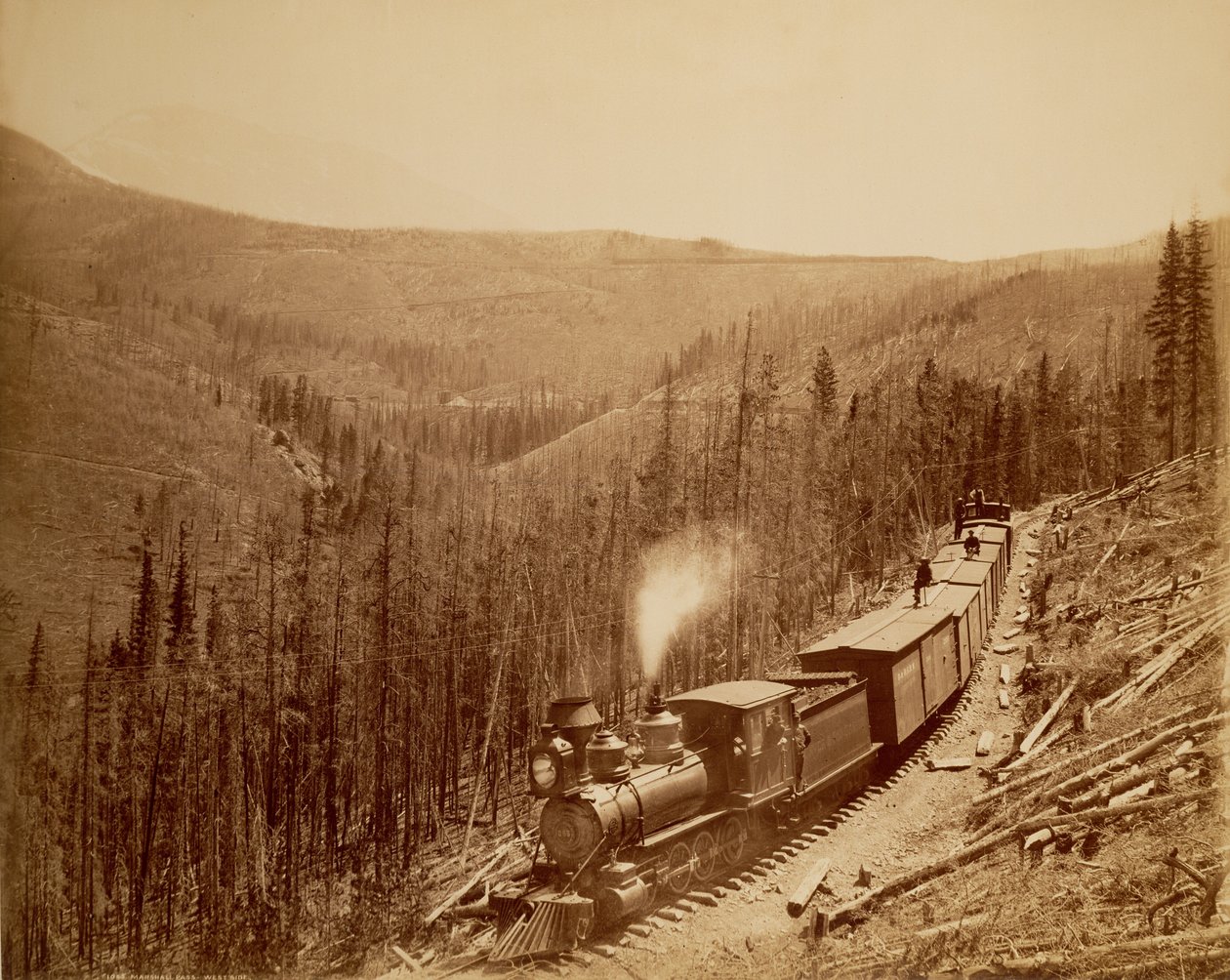 Marshall Pass, Westside by William Henry Jackson