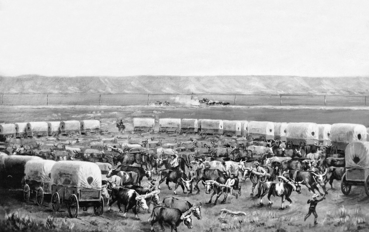 Oxen Being Yoked Up in a Corral of Covered Wagons by William Henry Jackson
