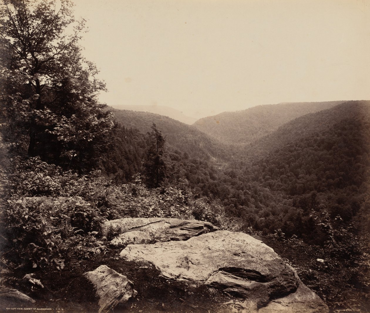 Cliff View, Summit of Alleghenies by William Herman Rau