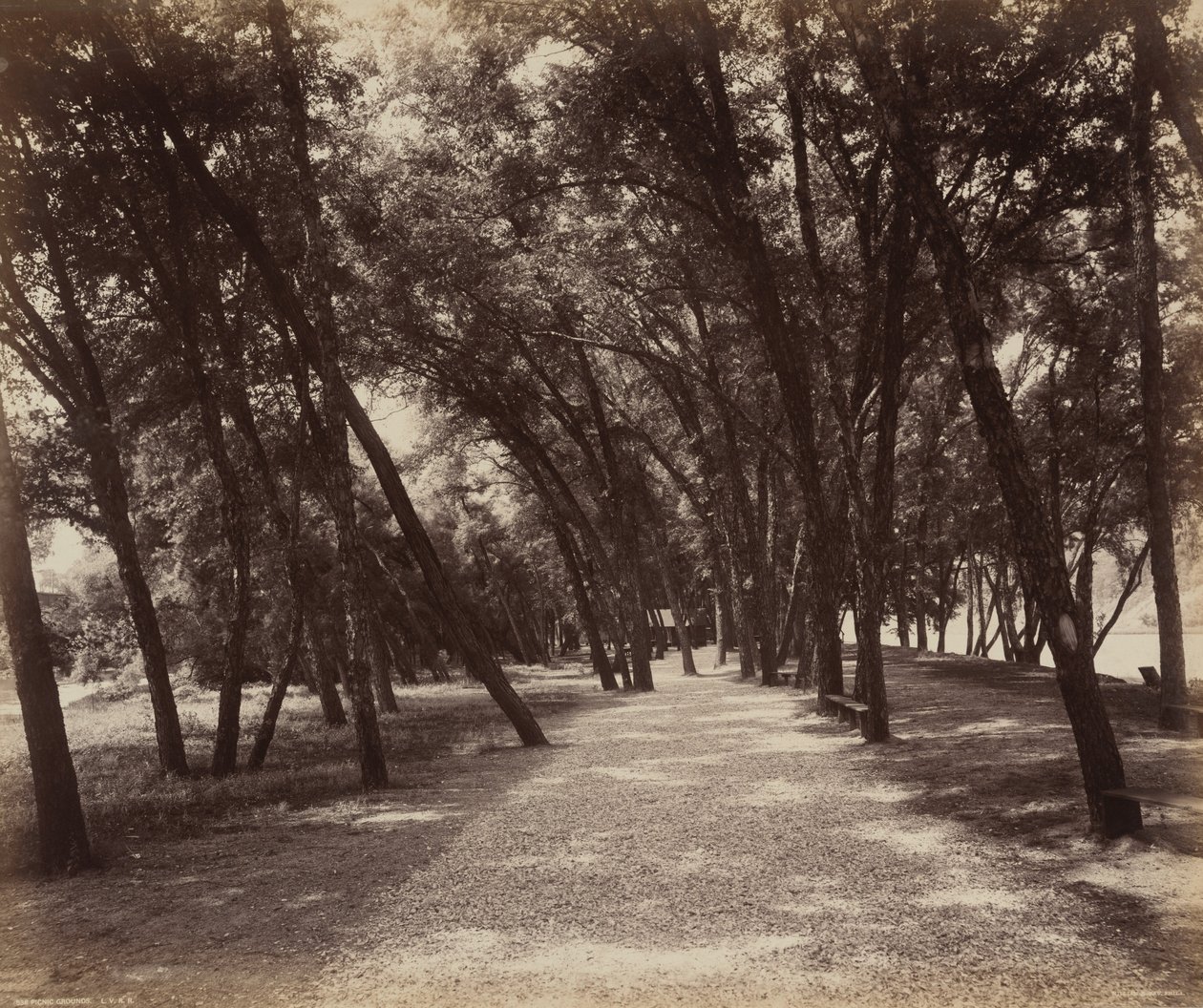 Picnic Grounds by William Herman Rau