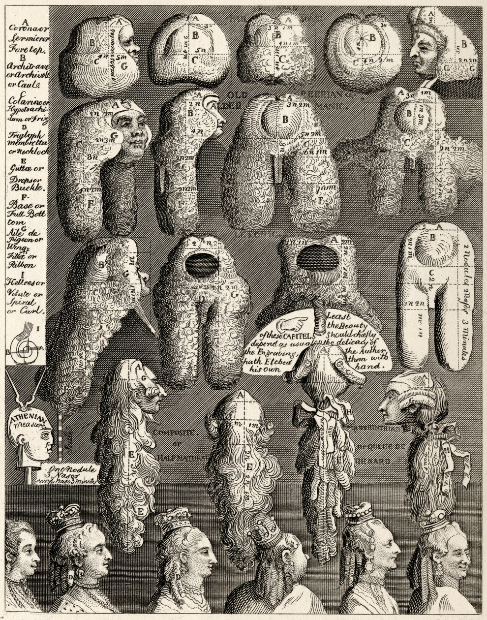 The Five Orders of Perriwigs, from 