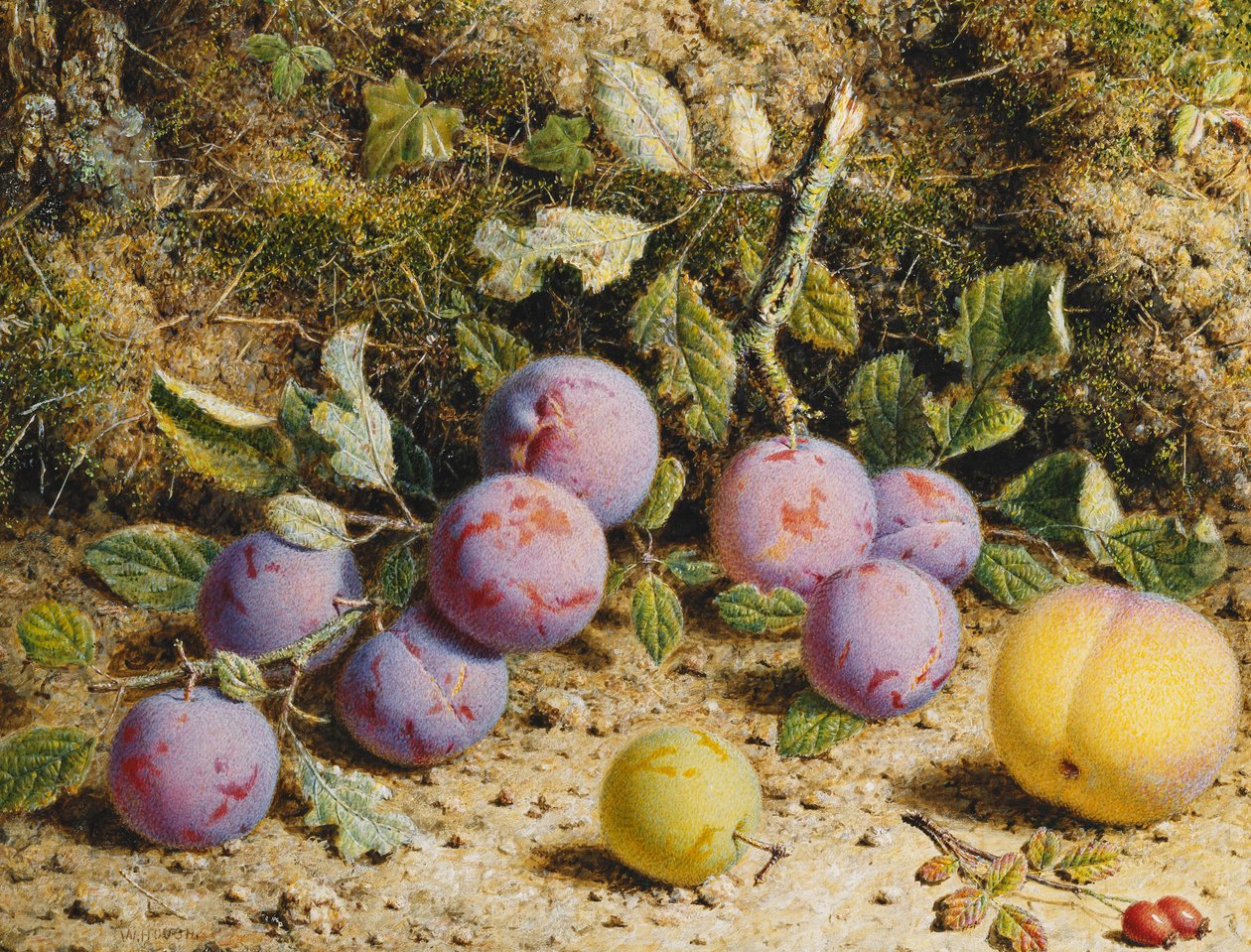 Still Life with Plums, a Peach and Rosehips by William Hough
