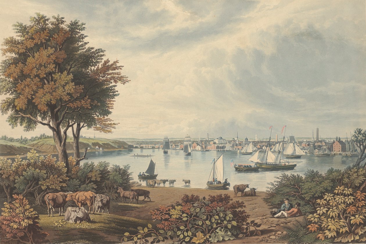 Baltimore Taken near Whetstone Point by William James Bennett