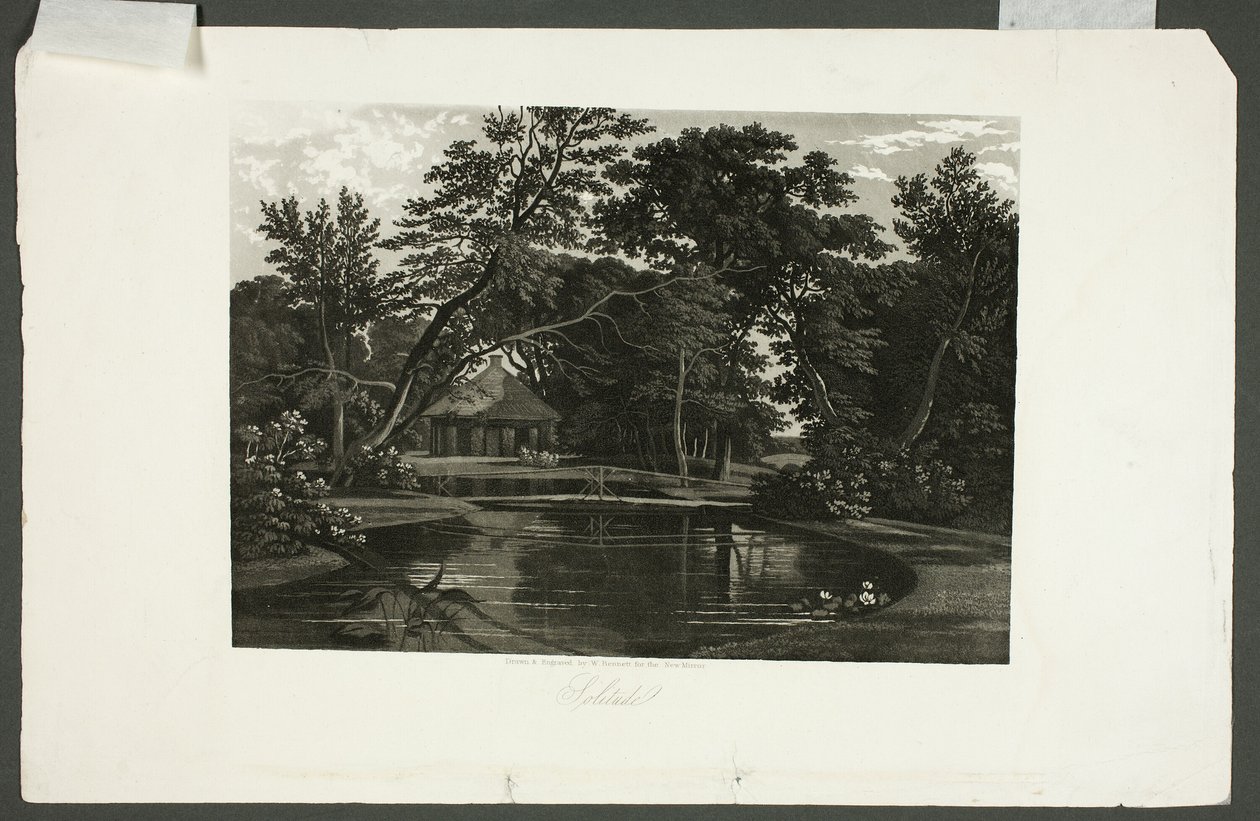 Solitude by William James Bennett