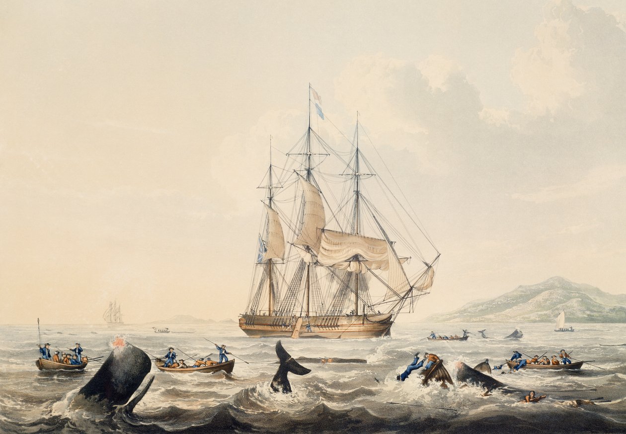 Whaling in South Seas by William John Huggins