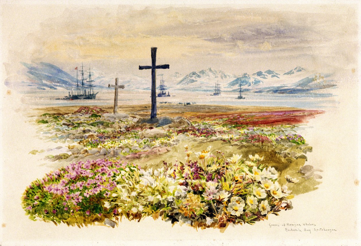 Search Bay, Tasmania, Australia, Two Crosses Planted in Flower Beds with Ships in the Distance by William Lionel Wyllie