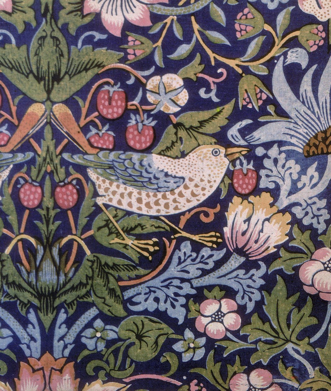 Strawberry Thief by William Morris