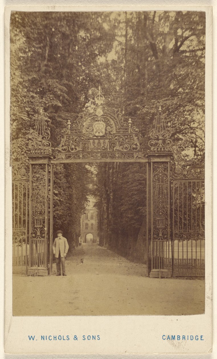 Trinity Cole Avenue by William Nichols and Sons