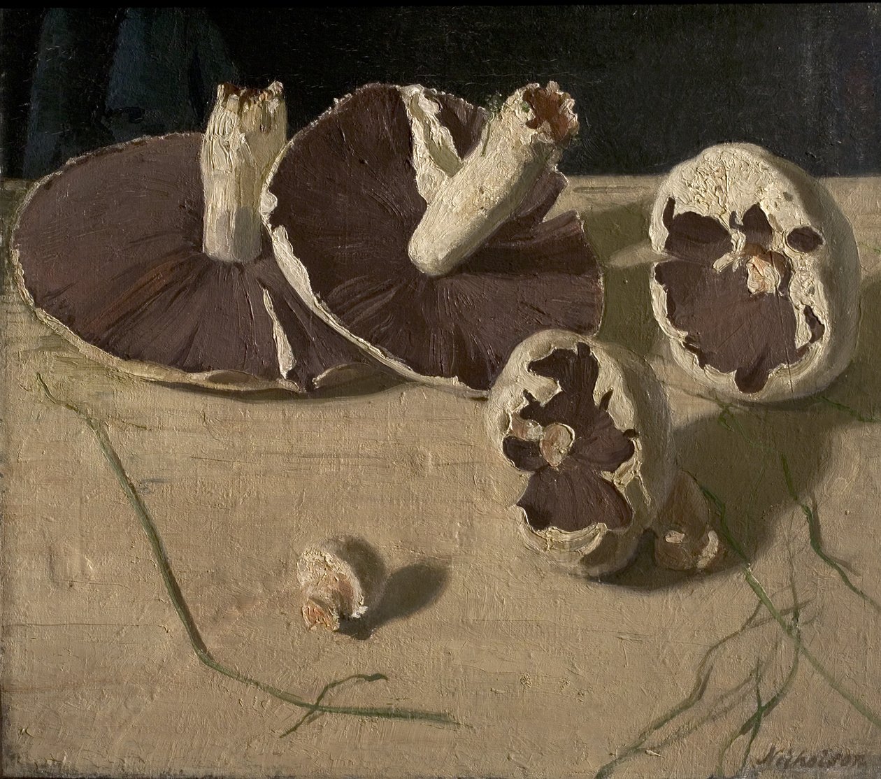 Mushrooms by William Nicholson