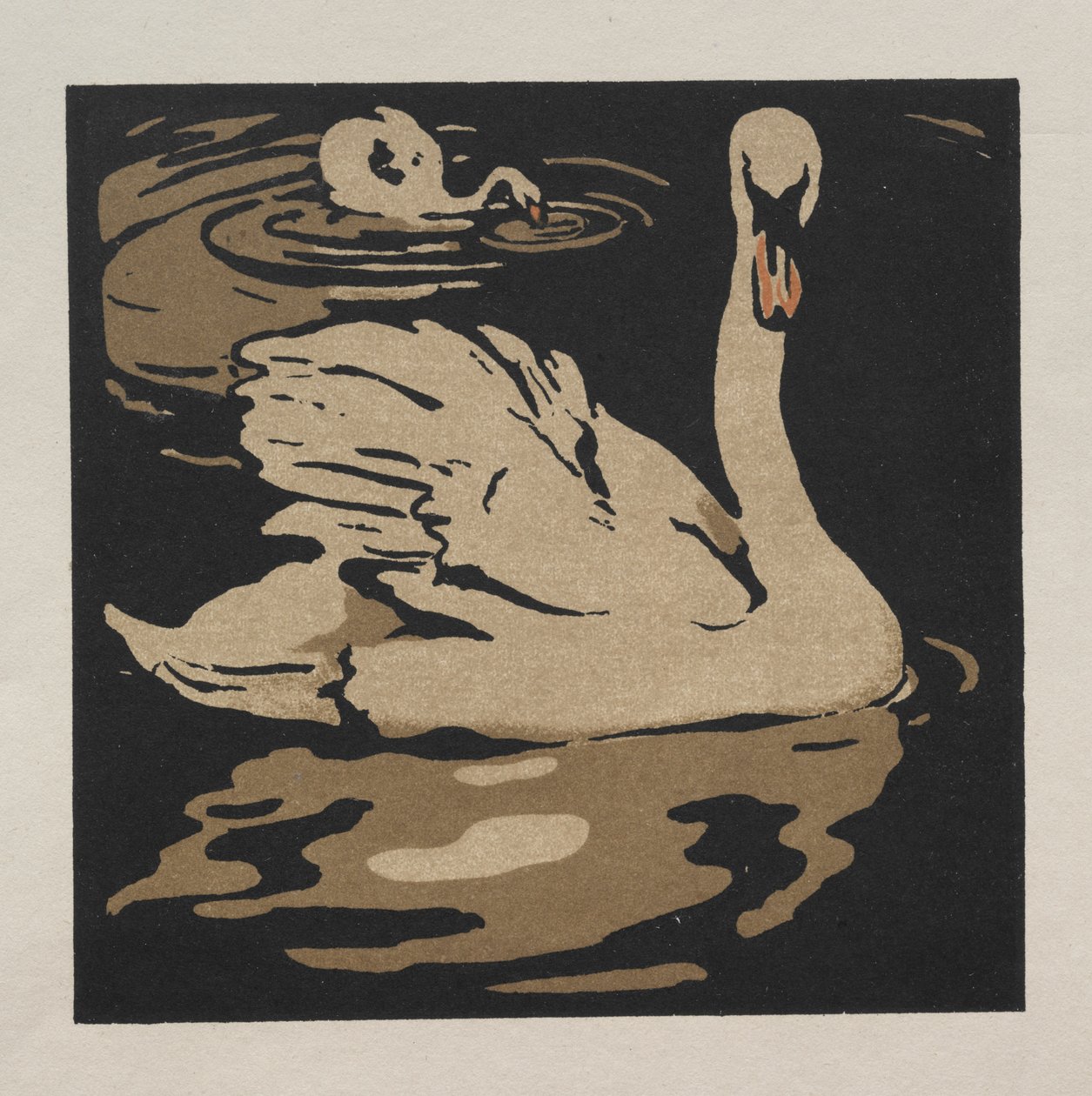 The Square Book of Animals: The Beautiful Swan by William Nicholson