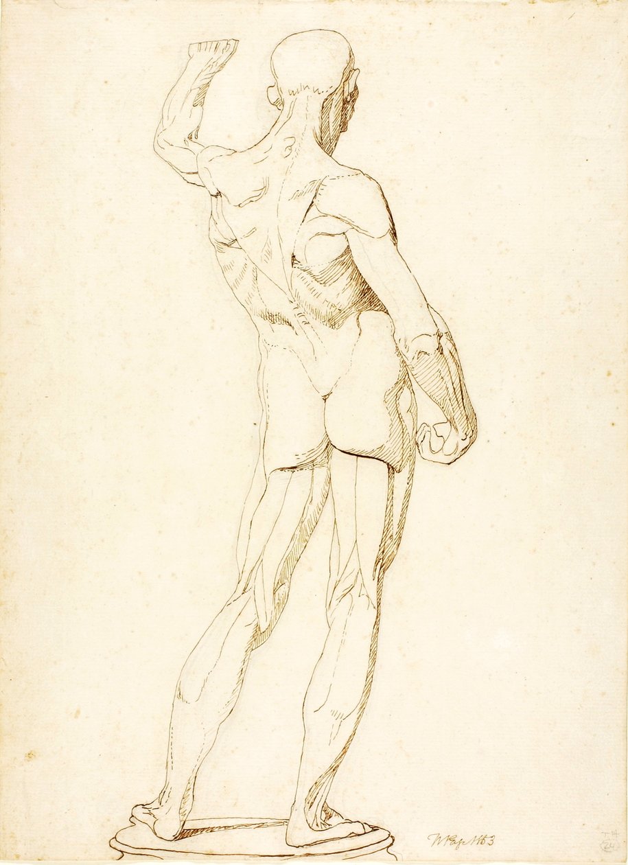 An Ecorche, Rear View by William Page