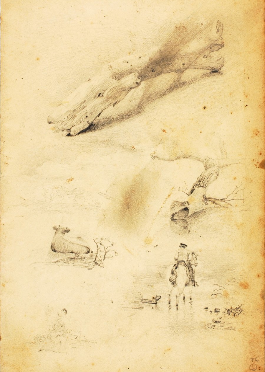 Studies--Figures, Log, Horse and Rider, etc. by William Page