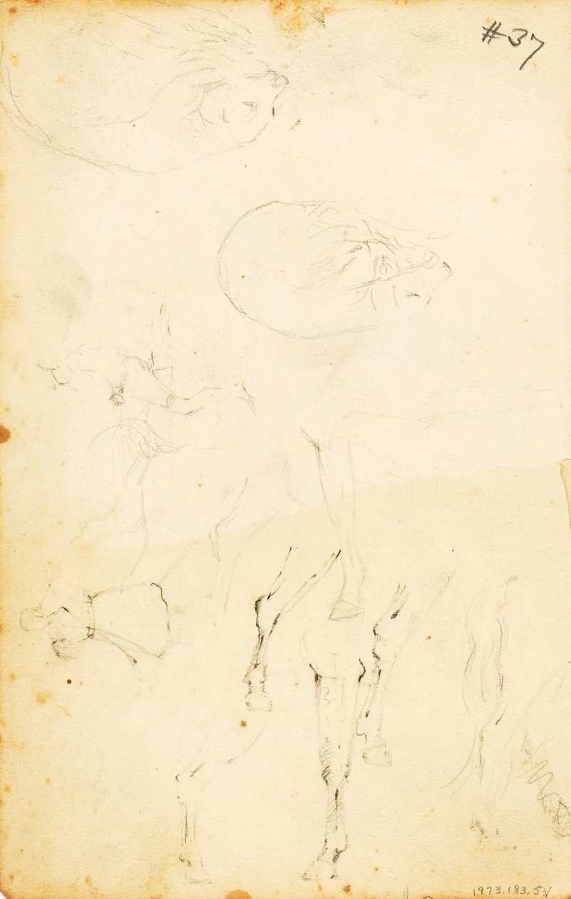Studies--figures, log, horse and rider, etc. by William Page