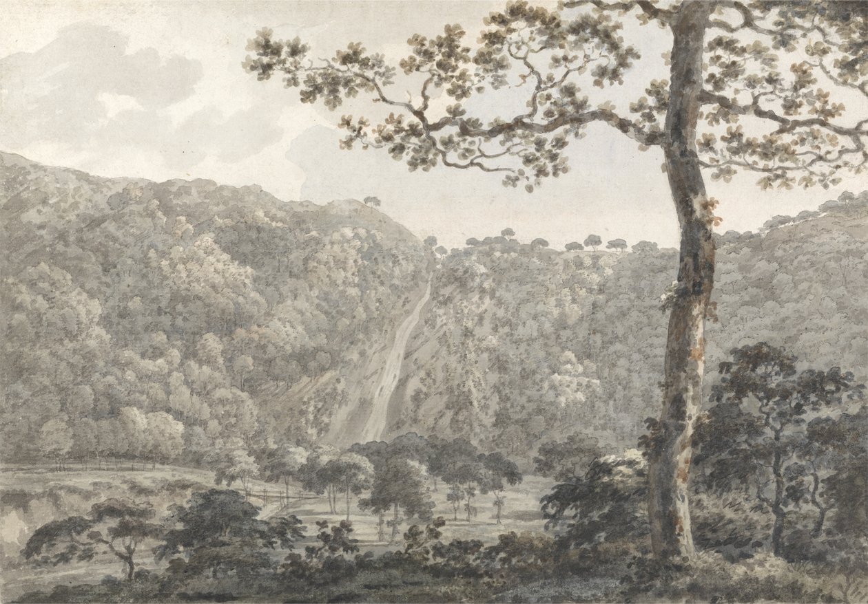 The Falls at Powerscourt, Co. Wicklow, Ireland by William Pars