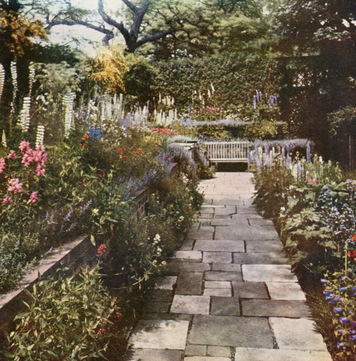 Perennial Borders in a St John