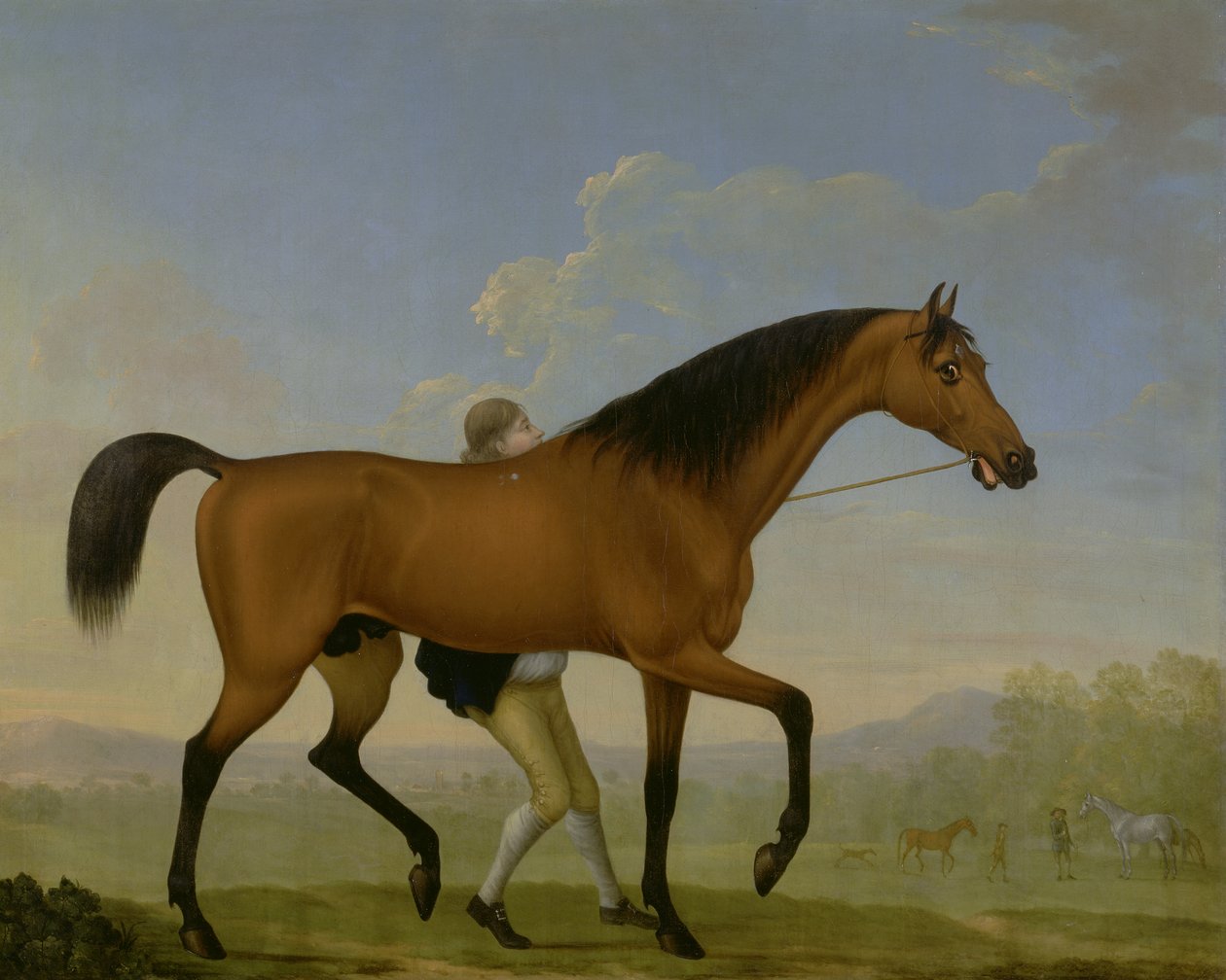 The Duke of Ancasters Bay Stallion, Blank, walking towards a Mare by William Shaw