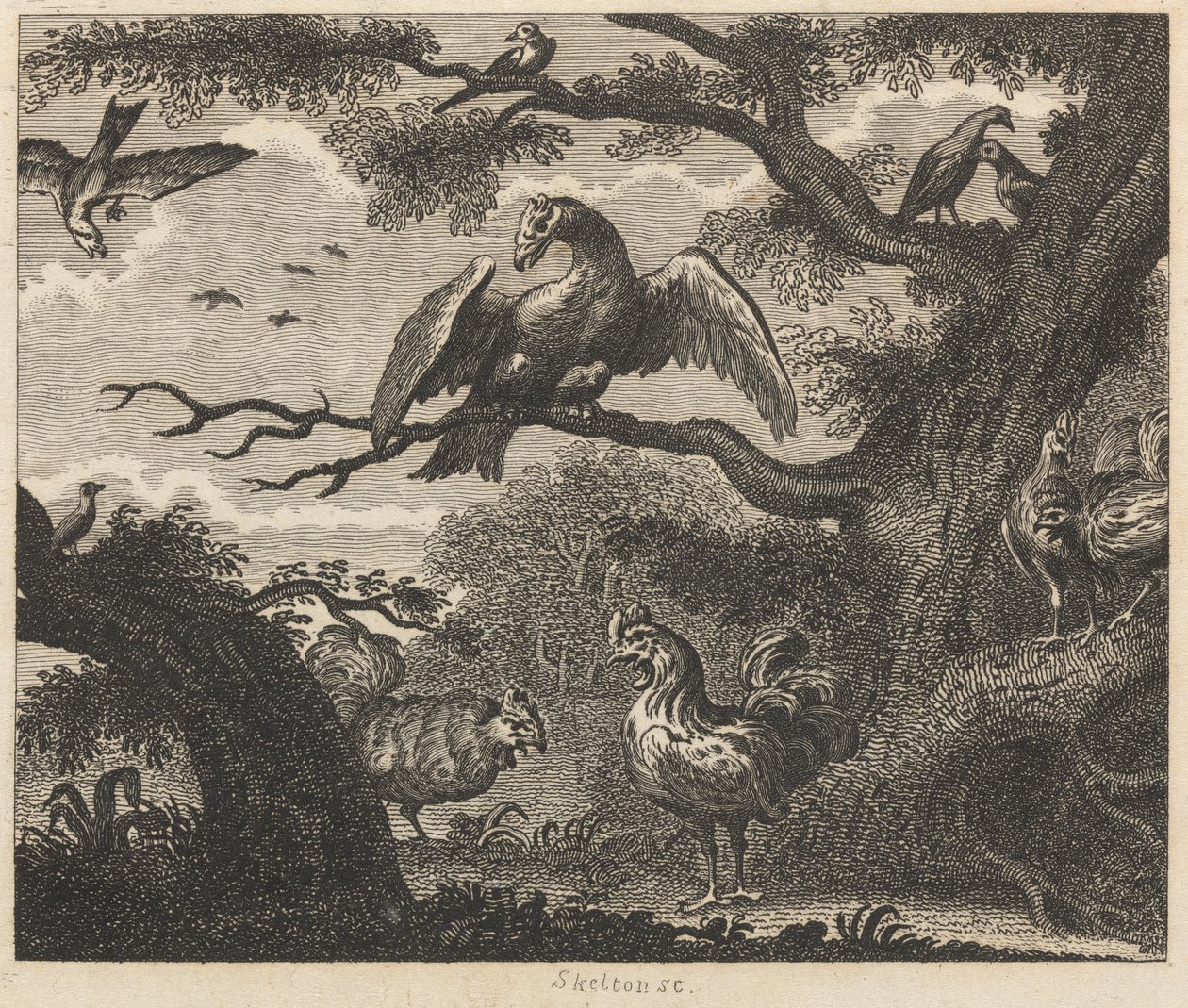 The Vulture, the Sparrow, and other Birds by William Skelton