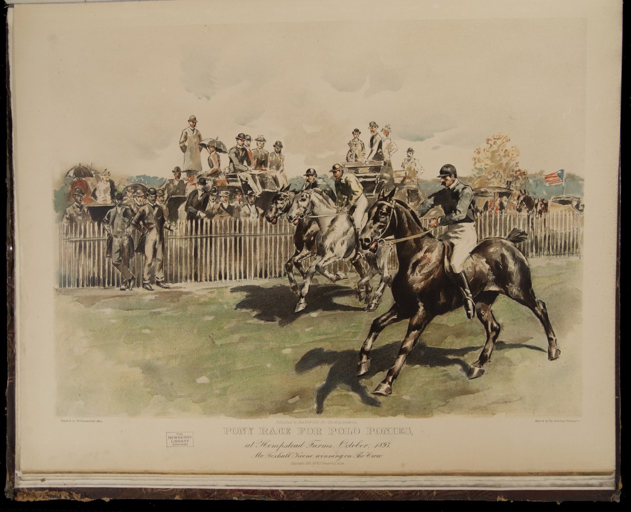Pony Race for Polo Ponies by William Sullivant Vanderbilt Allen