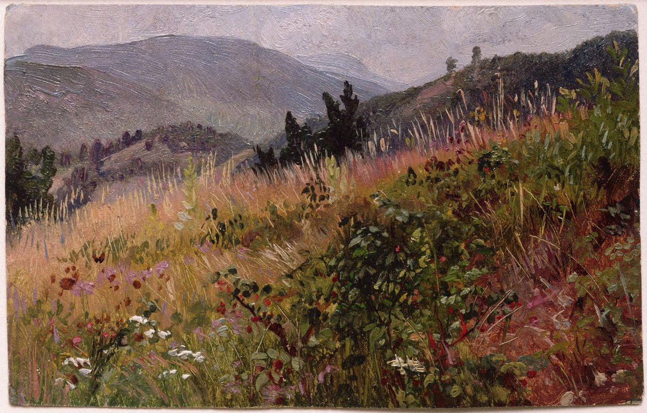 Essex County in the Adirondacks by William Trost Richards
