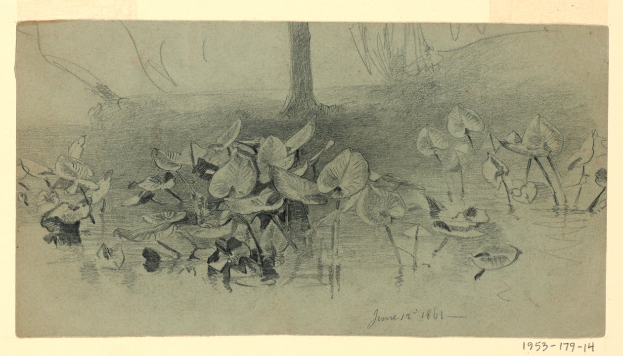 Study of Foliage by William Trost Richards